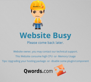 Internal Server Error / Website Busy