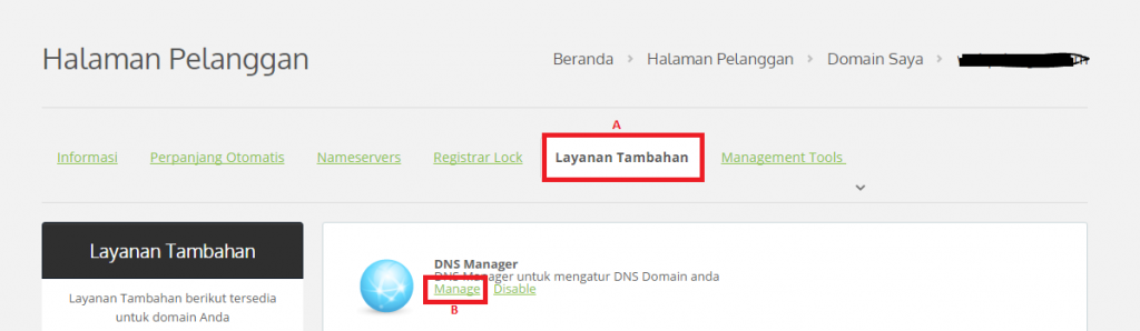 DNS manager