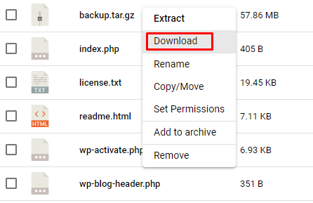 download file directadmin