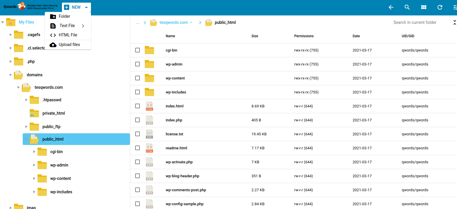 update cms di directadmin