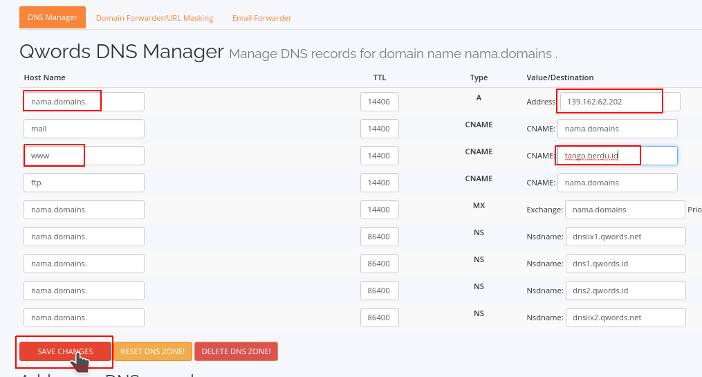 Qwords dns manager