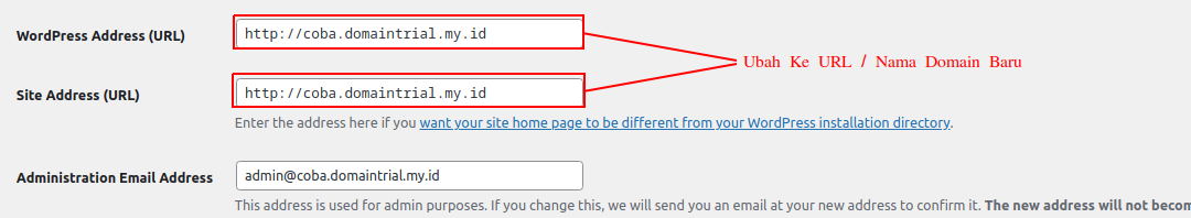 cara mengganti nama domain di wordpress
