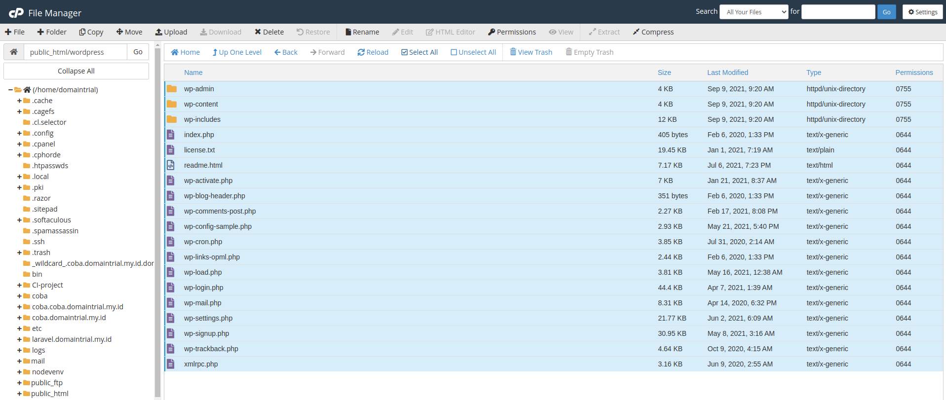 cara memindahkan wordpress dari /wordpress ke public_html