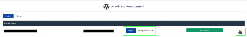 wordpress management