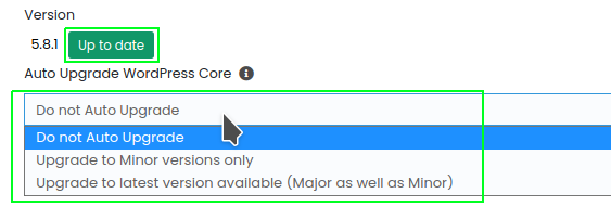 upgrade wordpress version