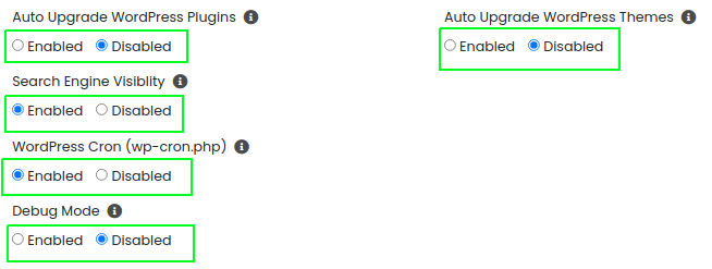 auto upgrade wordpress version