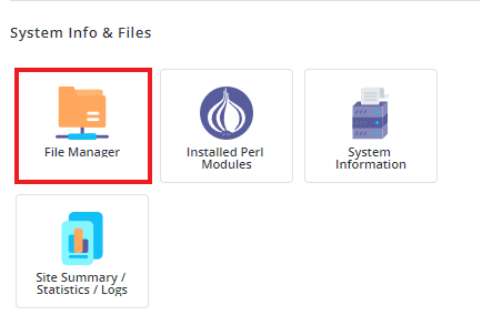 file manager directadmin